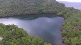 Chacachacare salt pond [upl. by Yniffit]