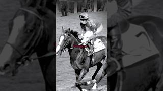 Shergar… racehorse Shergar •Owner 1• [upl. by Ynneg]