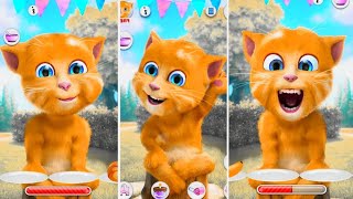 Talking ginger  cake fun  candles fun  enjoyment  talkingcat  talkingtom [upl. by Addiel]