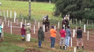 FINAL GP PRADEIROS E CONVIDADOS  LAGOA VERMELHA  LIVIO FELLUGA [upl. by Shipley851]