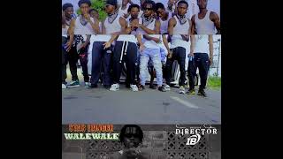 Walewale official video Teaser [upl. by Gwendolin]