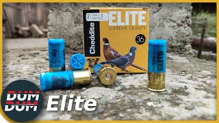 Cheddite Elite test patrona [upl. by Aihsyak]