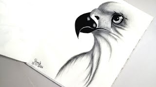 How to draw an Eagle head step by step ।। Easy Eagle drawing ।। Pencil drawing [upl. by Ralina696]