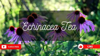 Echinacea Tea amp Benefits [upl. by Isaak]