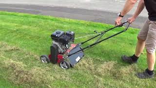 Einhell GCSC 2240 P Scarifier Demonstration and Review [upl. by Cinemod]