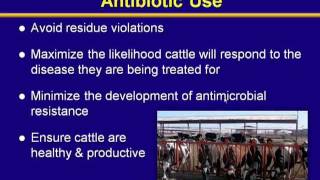 Responsible antibiotic use [upl. by Nivle]