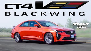 BUY THIS CAR NOW 2023 Cadillac CT4V Blackwing Review [upl. by Murielle]