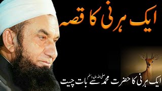 The Deer Speaking to Prophet Muhammad ﷺ  Molana Tariq Jameel Bayan [upl. by Solegna]