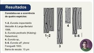 EUNOTIA EHRENBERG BACILLARIOPHYCEAE EM UM RIACHO INTERMITENTE NO NOROESTE CEARENSE [upl. by Puritan]