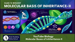 Unlocking DNA The Molecular Secrets of Inheritance Revealed [upl. by Htebiram32]