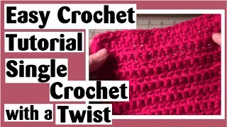 Single Crochet with a Twist  Easy Crocheted Block  Mini Afghan Tutorial Ep2 [upl. by Arleta]