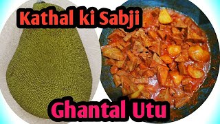 Kathal ki Sabzi  Jackfruit Recipe  Jackfruit Curry  Jackfruit  Kathal recipe [upl. by Rafe]