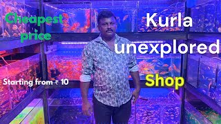 Kurla wholesale aquarium market  kurla fish market  kurla discuss aquarium [upl. by Nemra]