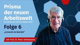 Lernorte im Betrieb mit Peter Dehnbostel Prisma der neuen Arbeitswelt  Ep6 [upl. by Aineg980]