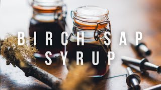 Tapping Birch Sap amp Making Birch Syrup [upl. by Oijres]