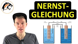 Die NernstGleichung  Chemie Tutorial [upl. by Wessling658]