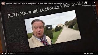 Mouton Rothschild 2018 first impressions with the Bordeaux Wine Experience [upl. by Kalman655]