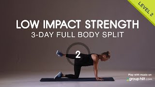 3Day Split Low Impact Strength  Workout 2 [upl. by Hyacinthie]