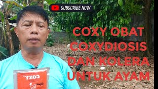 COXY OBAT COXYDIOSIS DAN KOLERA UNTUK AYAM [upl. by Gentes]