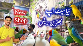 Lady Gouldian Finch Exhibition Budgies Parrots Canary Singing Birds Java Sparrows Setup Visit [upl. by Acinoda]