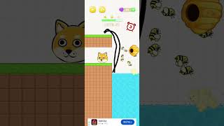 Cat rescue game  cat rescue story  rescue cat [upl. by Kelwunn624]