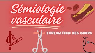 semiologie vasculaire  explication facile [upl. by Sumerlin]