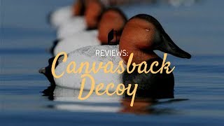 Higdon Canvasback Duck Decoys  First Look  Unboxing [upl. by Raamaj]