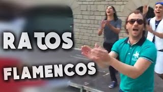 El Yiyo Mariano Juan Mateo y mas Flamenco en la calle 2016  FLAMENCO LACHÓ [upl. by Nimoynib]