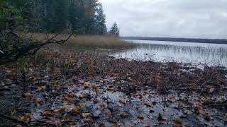 ADK Adventure  Raquette Lake  Shores Edge  Beauty in the Rain [upl. by Demodena738]