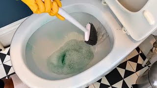 2 Steps to A Clean Germ Free Bathroom Toilet  Cleaning Tips [upl. by Notreve]