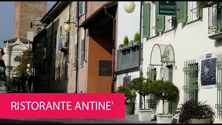 RISTORANTE ANTINE  ITALY BARBARESCO [upl. by Aihk469]