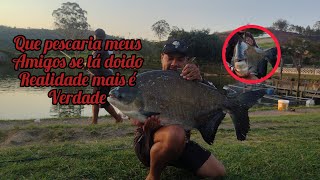 COMO PEGA PEIXE NO INVERNOISCAS QUE SEMPRE SALVA SUA PESCARIA [upl. by Yeznil157]