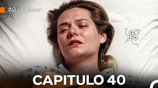 Alas de Amor Capitulo 40 Doblado En Español [upl. by Farnham580]