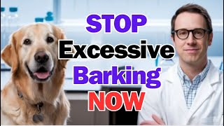 STOP Excessive Barking NOW with This Proven Method [upl. by Hugon995]