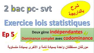 2bac lois statistiques dihybridisme  indépendante gêne a dominance complète lautre codominance [upl. by Tatman]