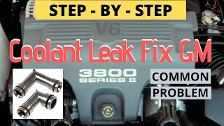 Coolant Leak repair GM 3800 [upl. by Alaine]