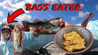 Largemouth BASS Catch Clean Cook Surprising Results [upl. by Gaskins269]