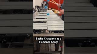 Ed Smith Plays Bach Chaconne as a Flamenco Song bach chaconne vibraphone [upl. by Talyah]