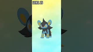 Shinx  Luxio  Luxray  Evolution in Pokemon Legends Arceus pokemon evolution shorts [upl. by Donatelli]