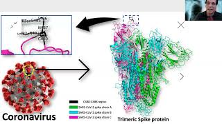 Protocolo contra MIOCARDITIS VIRAL [upl. by Egin]