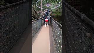 Capilano suspension bridge [upl. by Ativad775]