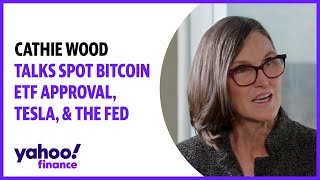 Cathie Wood talks spot bitcoin ETF approval Tesla amp the Fed [upl. by Aokek]