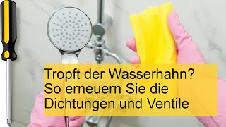 Wasserhahn tropft Dichtungen und Ventile erneuern [upl. by Medardas92]