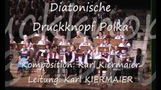 Diatonische Druckknopf Polkawmv Feuerwerk der Volksmusik 2010 [upl. by Nerte641]