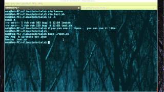 How to run a sh file in Linux [upl. by Ahseenat]