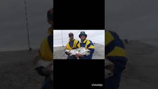 Hentiesbaai Namibia Cob fishing Go big or go home [upl. by Koehler]