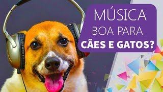 MÚSICA FAZ BEM para CACHORRO e GATO [upl. by Mian]