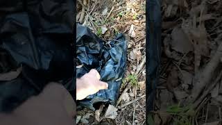 lets play whats in the trash bag scared AF [upl. by Huggins279]