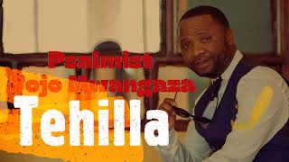 Psalmist Jojo Mwangaza ¤ Tehilla ¤ [upl. by Alhsa]