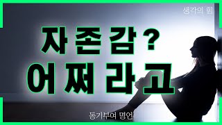 나에 대한 자신감을 잃으면 온세상이 적이된다 l 자존감 높이는법 [upl. by Annis]